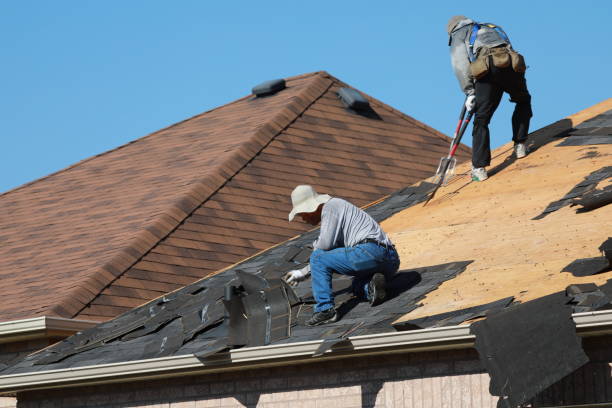 Best Roof Moss and Algae Removal  in Woodland Heights, PA