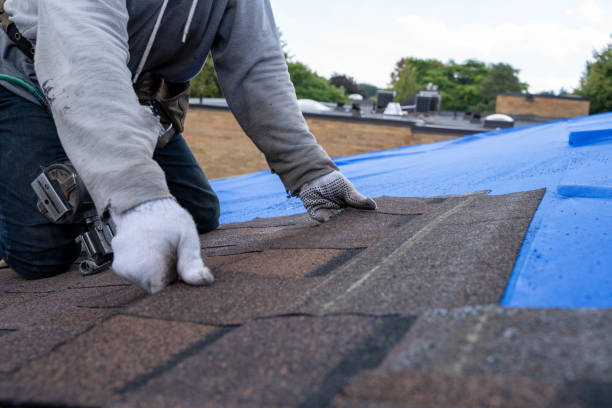 Best Storm Damage Roof Repair  in Woodland Heights, PA