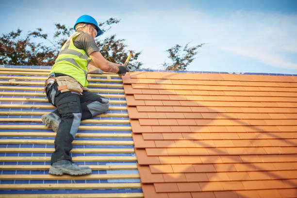 Steel Roofing in Woodland Heights, PA