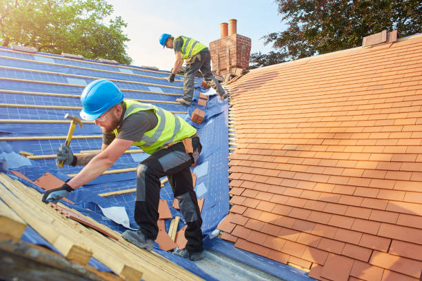 Best Gutter Installation and Repair  in Woodland Heights, PA